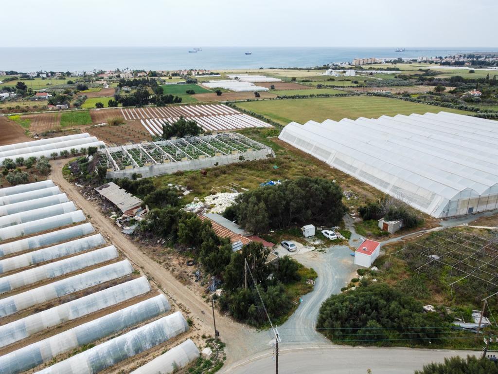 Field (Share) - Psematismenos, Larnaca