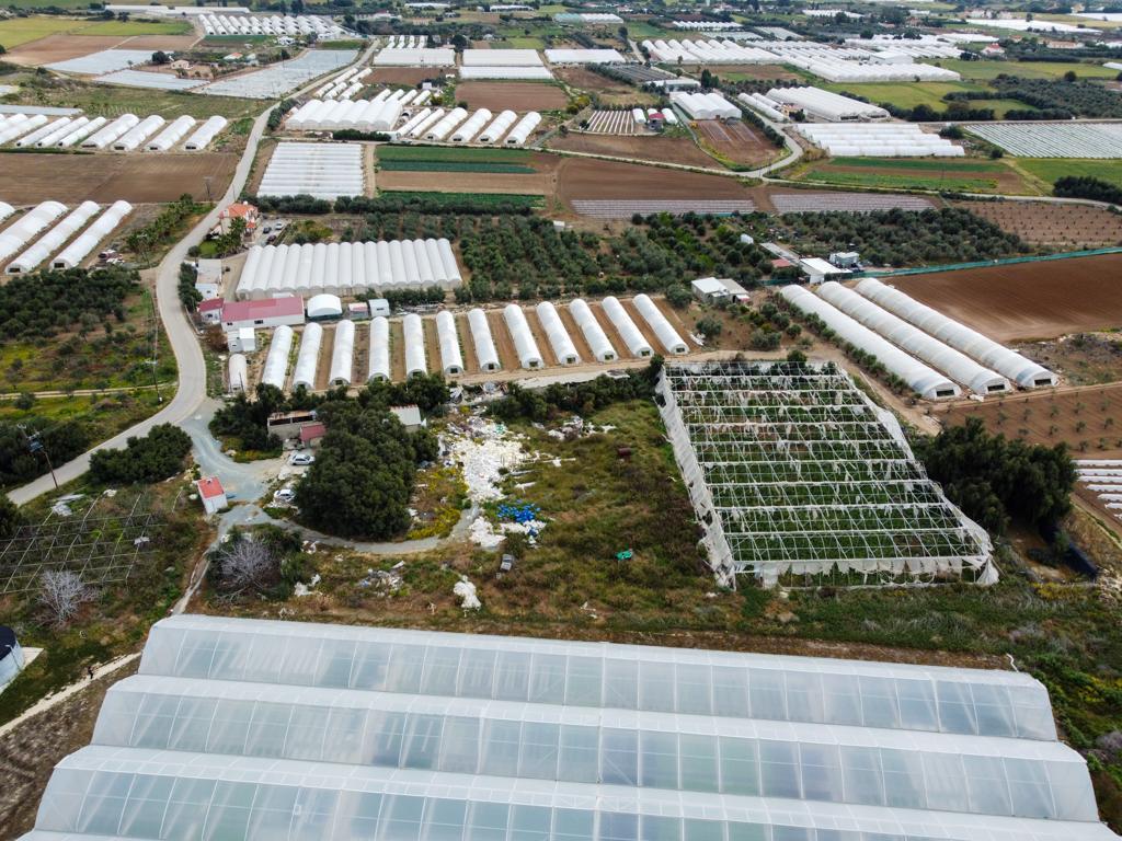 Field (Share) - Psematismenos, Larnaca