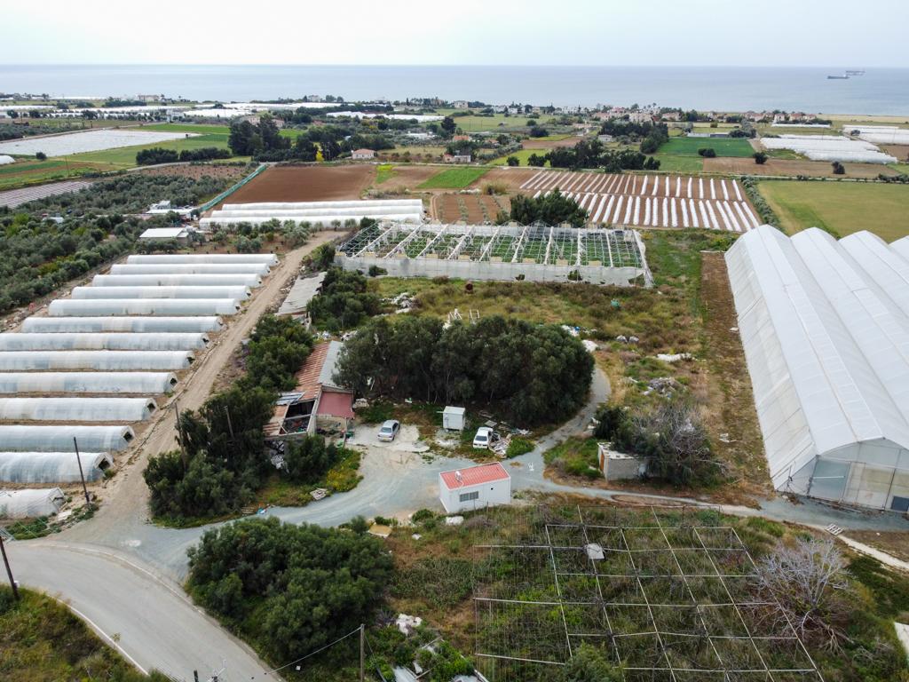 Field (Share) - Psematismenos, Larnaca