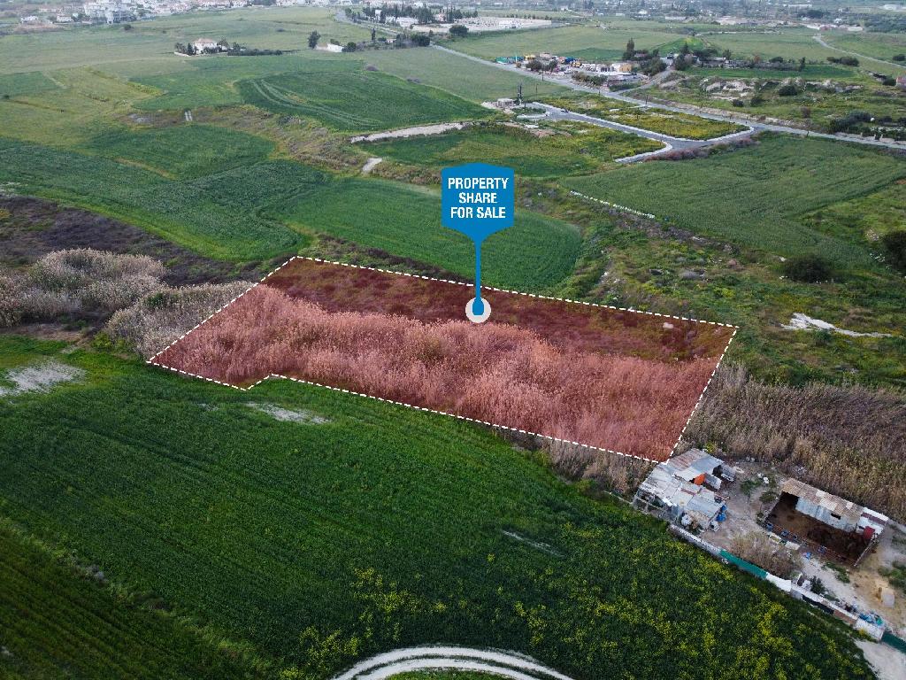 Field-Aradippou-PR38249