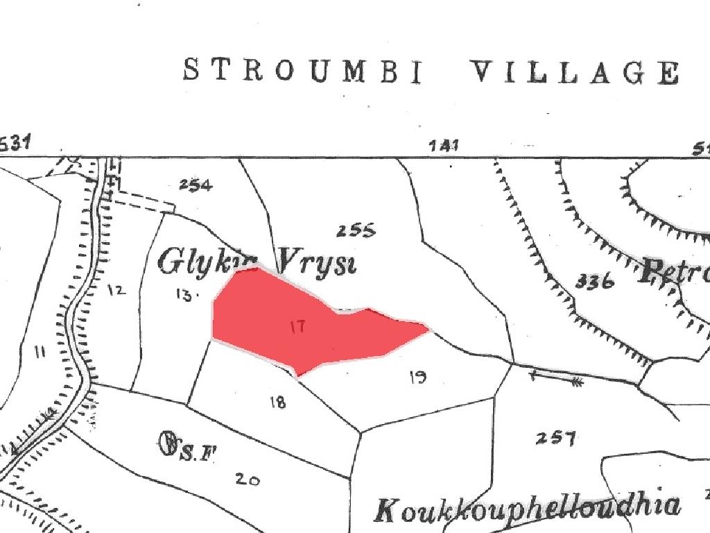 Field-Stroumpi-PR38768