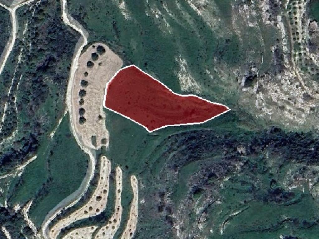 Field-Stroumpi-PR38768