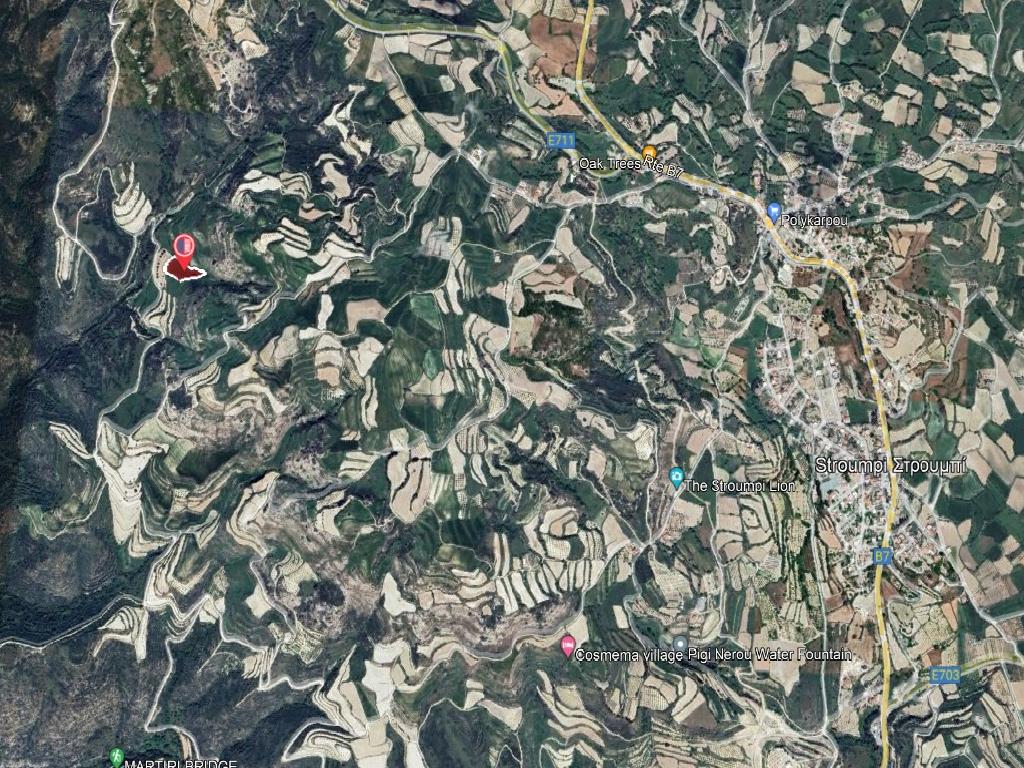 Field-Stroumpi-PR38768