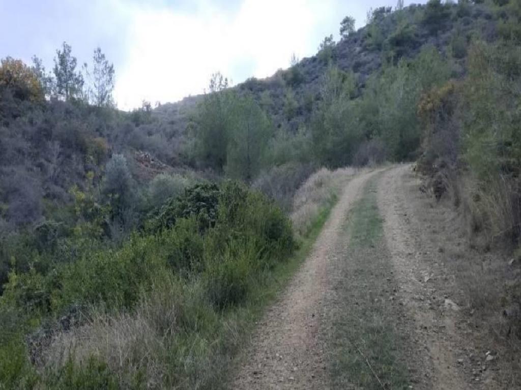 Field-Korakou-PR38837