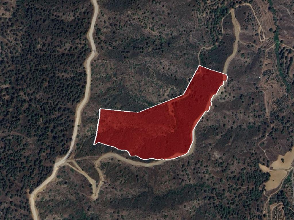 Field-Korakou-PR38837