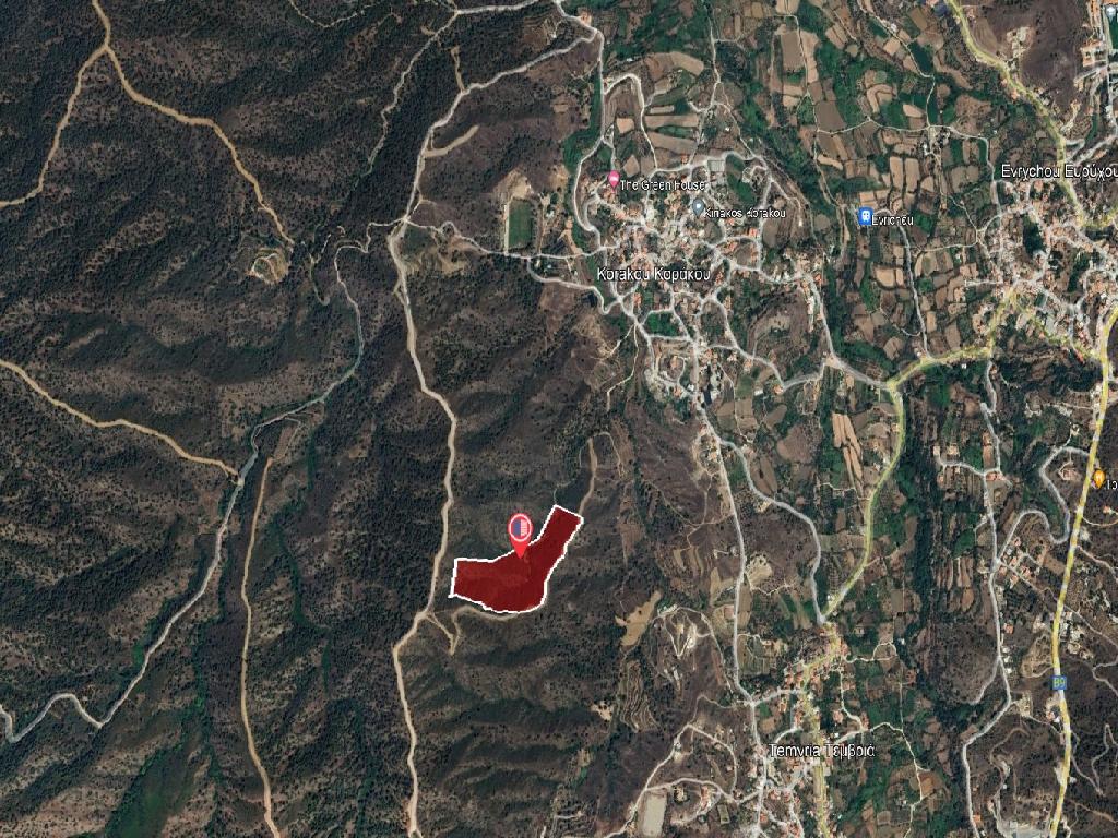 Field-Korakou-PR38837