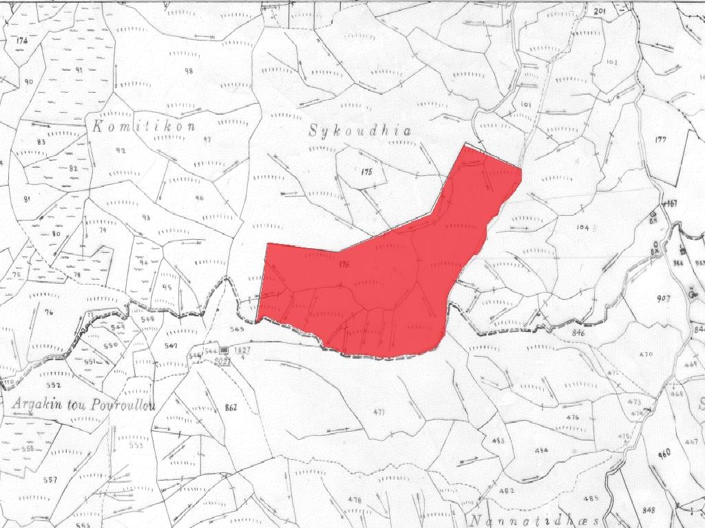 Field-Korakou-PR38837