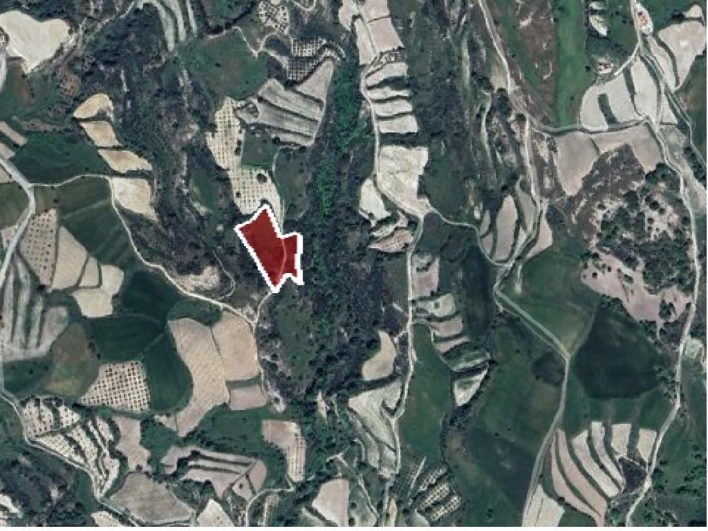 Field-Stroumpi-PR39561