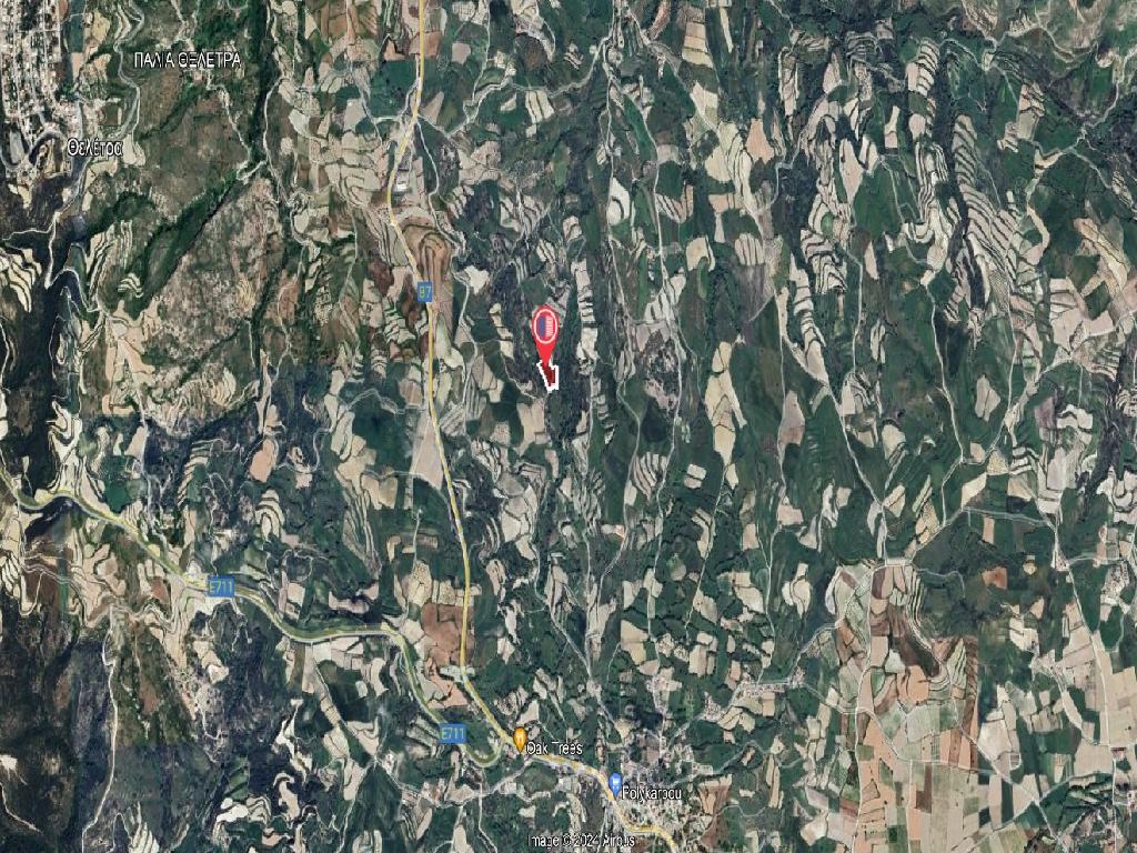Field-Stroumpi-PR39561