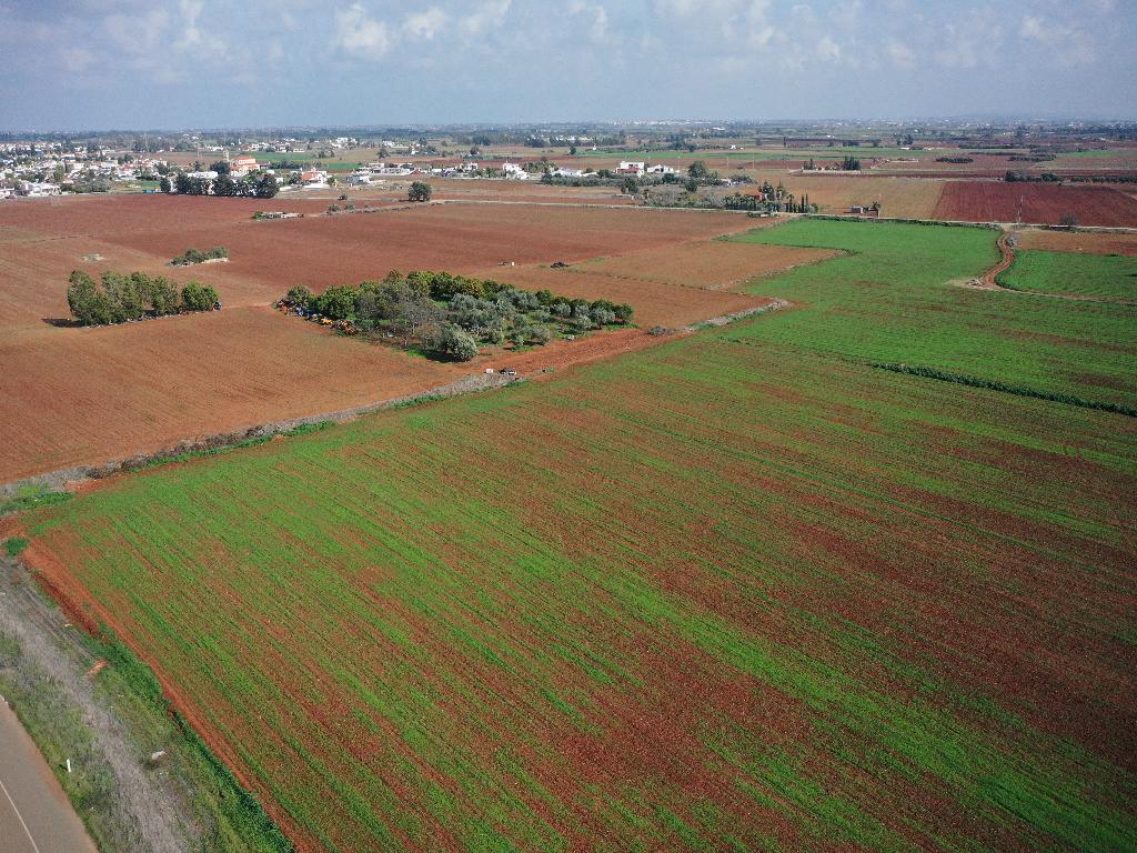 Field-Avgorou-PR39784