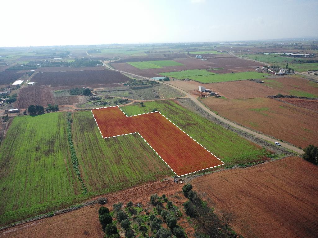 Field-Avgorou-PR39784