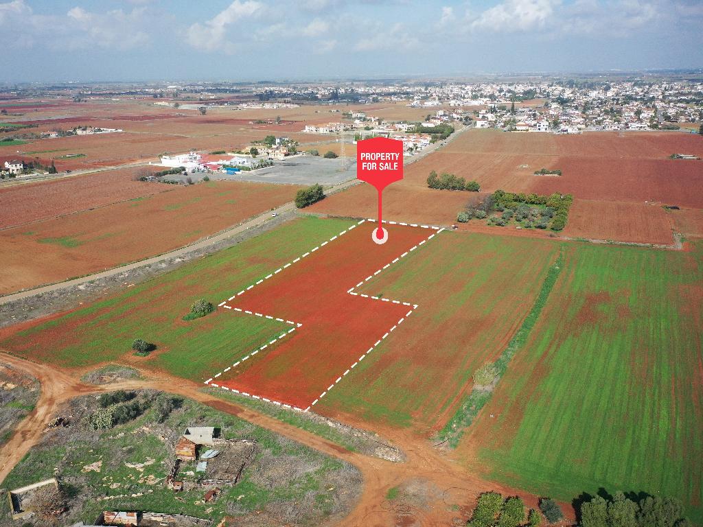 Field-Avgorou-PR39784