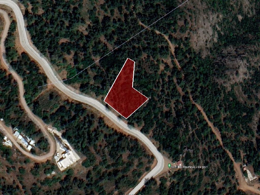Field-Vavatsinia-PR39889