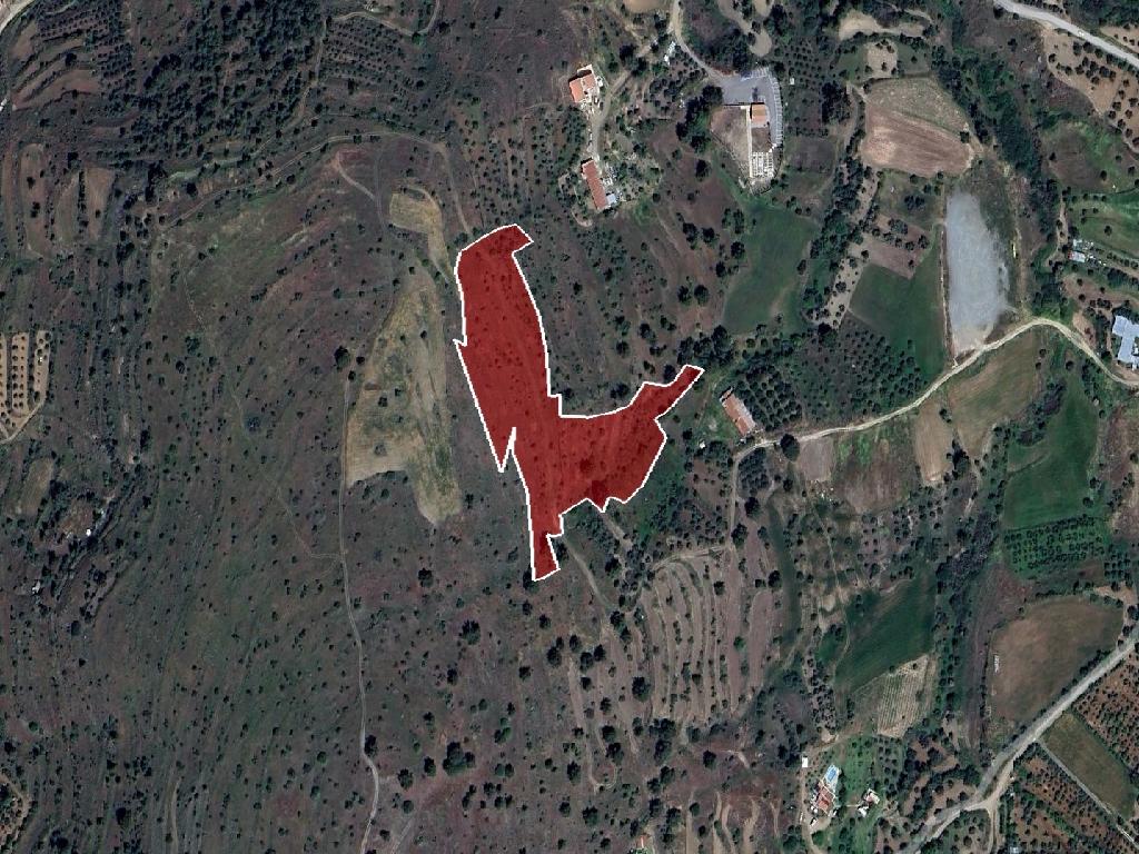 Field-Kalo Chorio (Oreinis)-PR39929