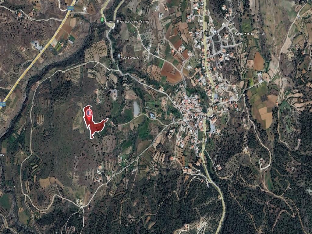 Field-Kalo Chorio (Oreinis)-PR39929