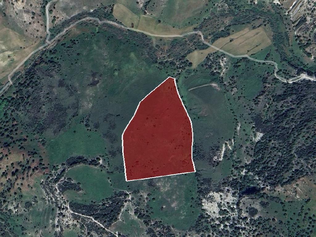 Field-Aksilou-PR40156
