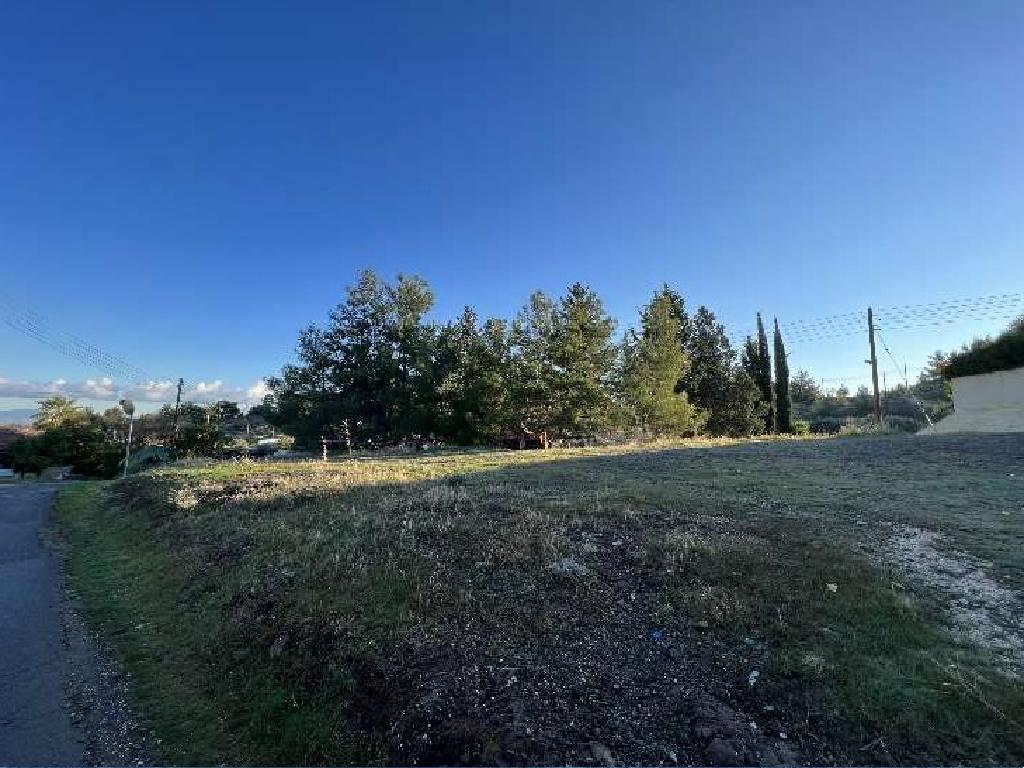 Plot-Kalo Chorio (Oreinis)-PR40388