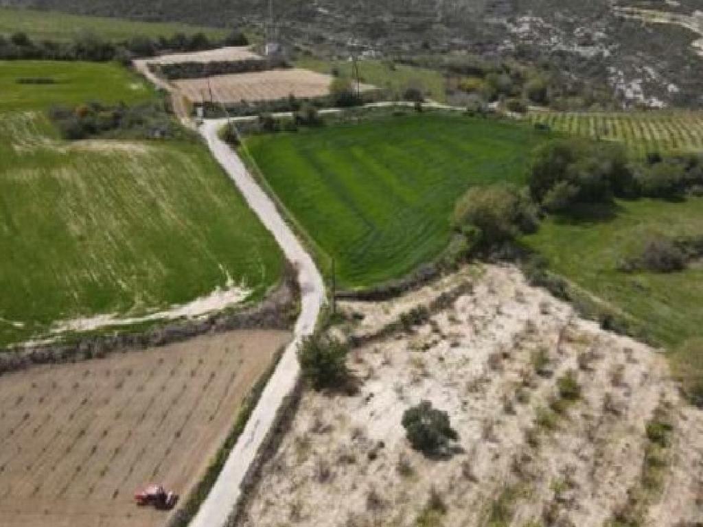 Field-Pano Akourdaleia-PR41472