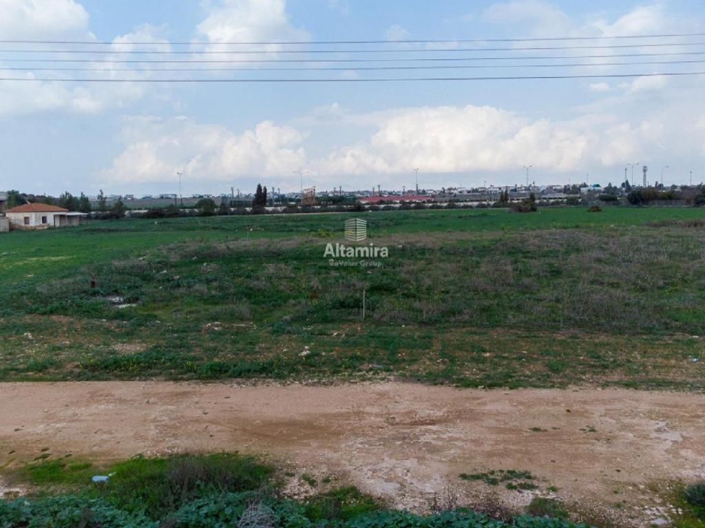 Field - Kokkinotrimithia, Nicosia