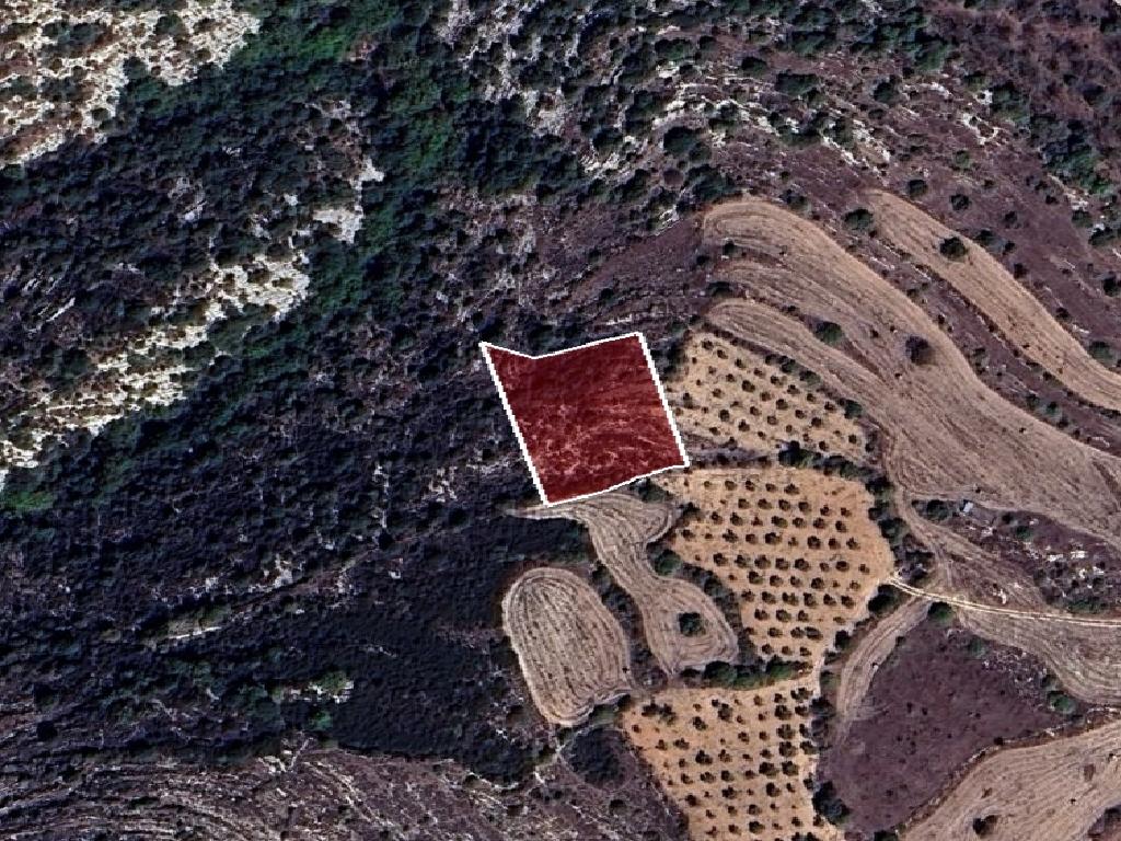 Field-Kritou Terra-PR41710