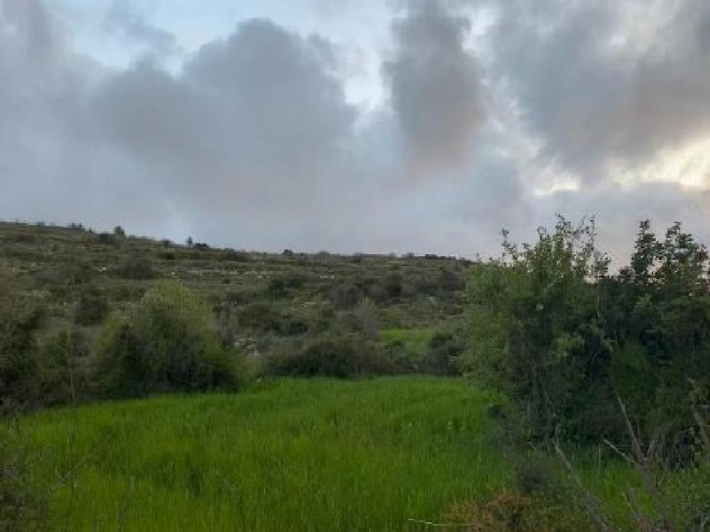 Field-Kritou Terra-PR41710