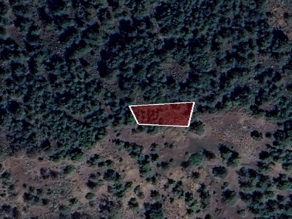 Field-Palaichori Orinis-PR41928