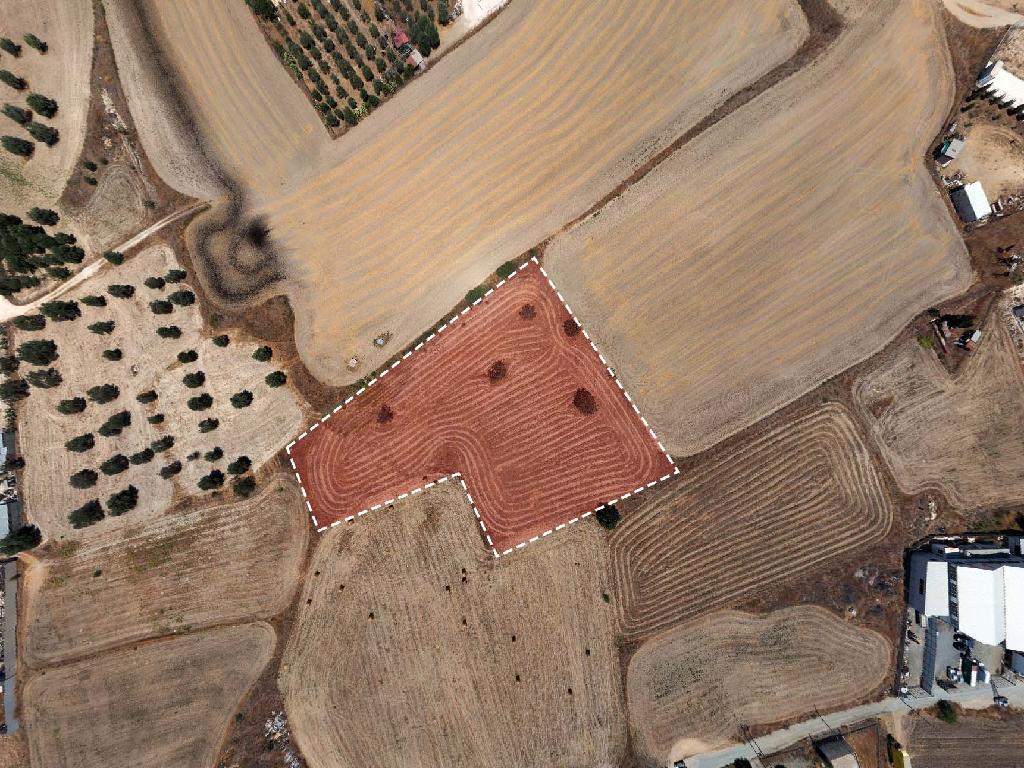 Field (Share) - Aradippou, Larnaca