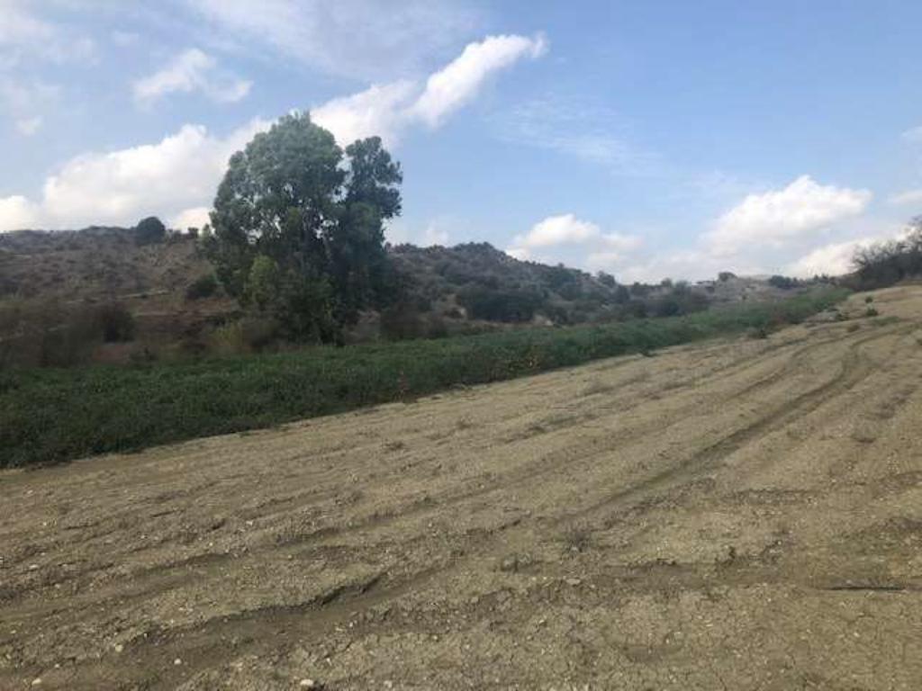 Field-Kannaviou - Melamiou-PR12976