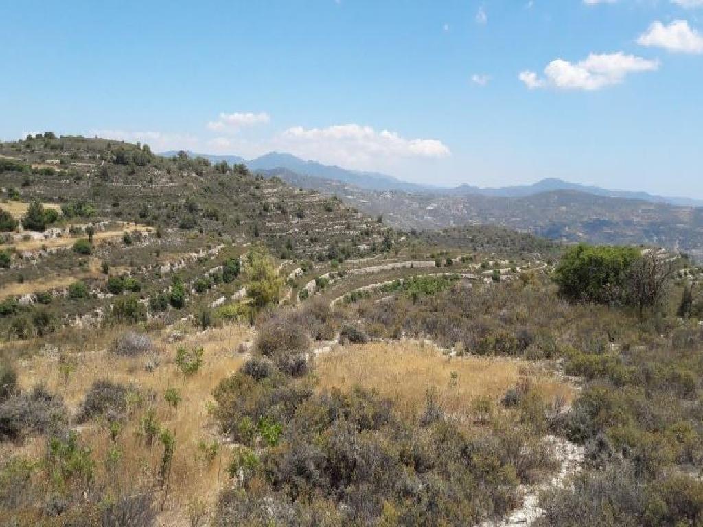 Field-Silikou-PR11725