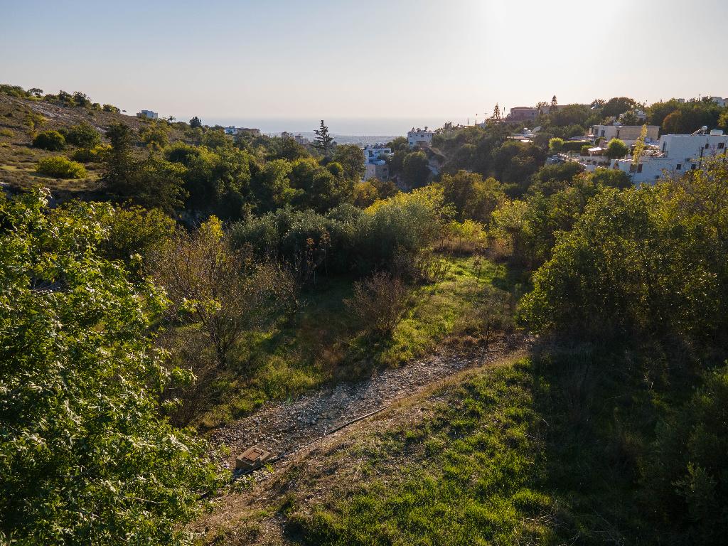 Field - Mesogi, Paphos