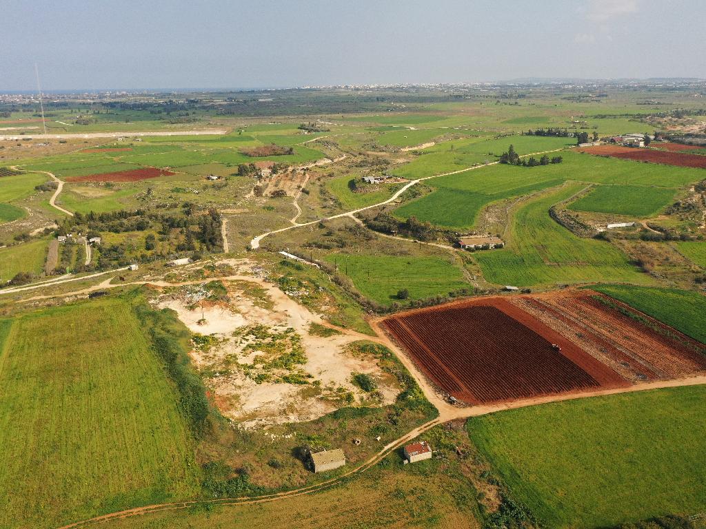 Field - Frenaros, Famagusta