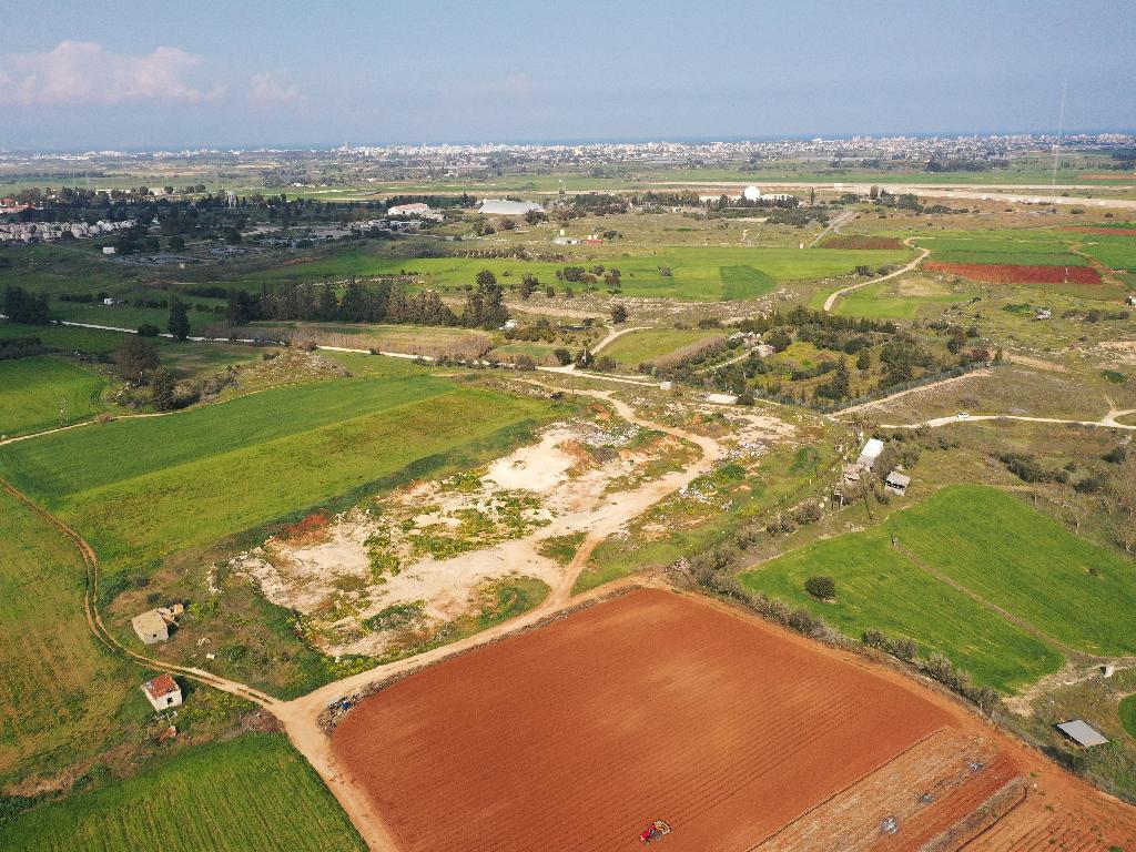 Field - Frenaros, Famagusta