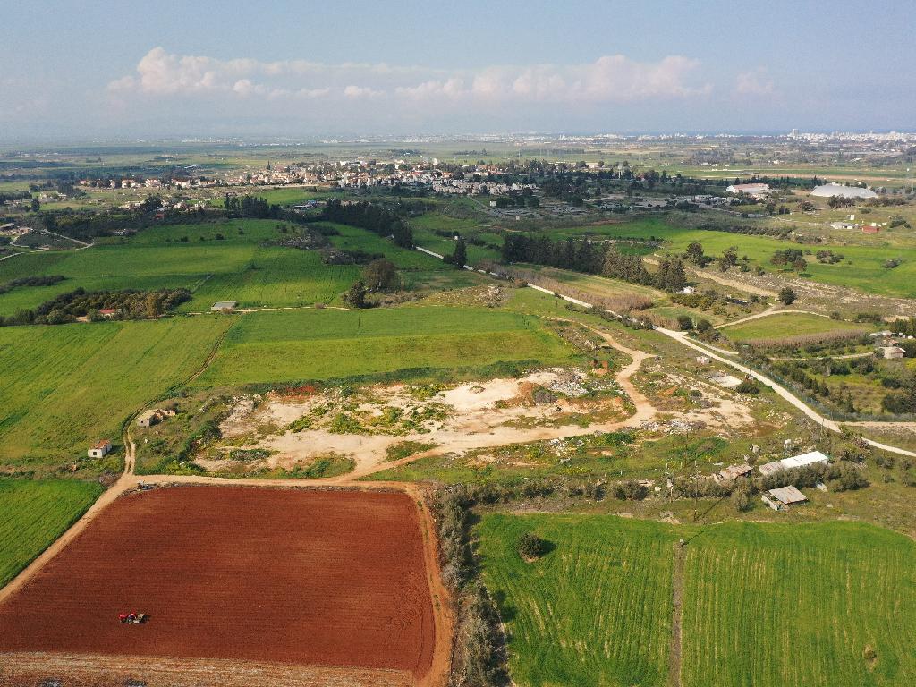 Field - Frenaros, Famagusta