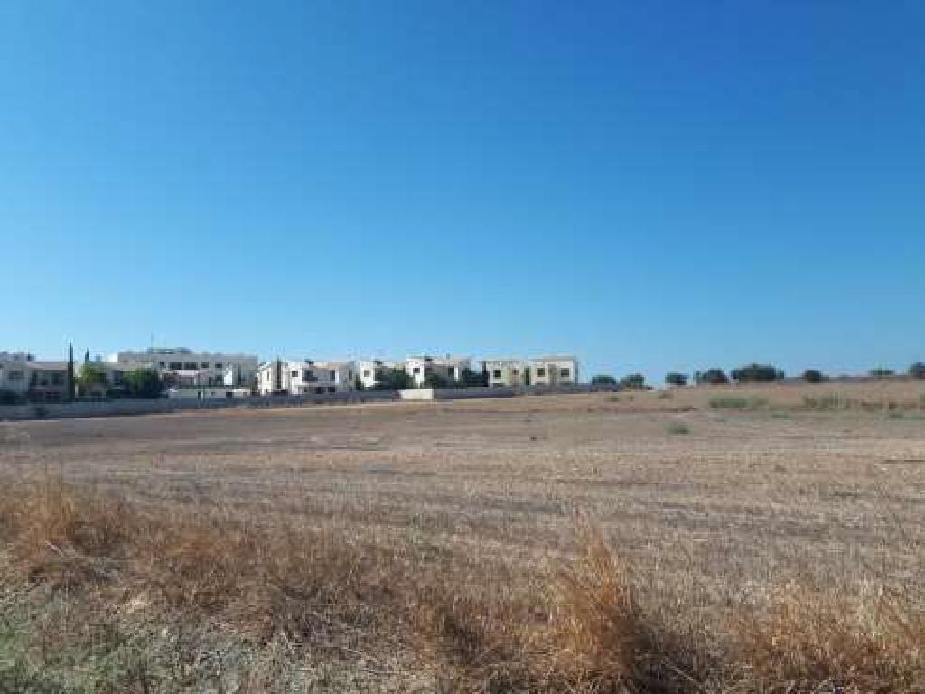 Field - Tersefanou, Larnaca