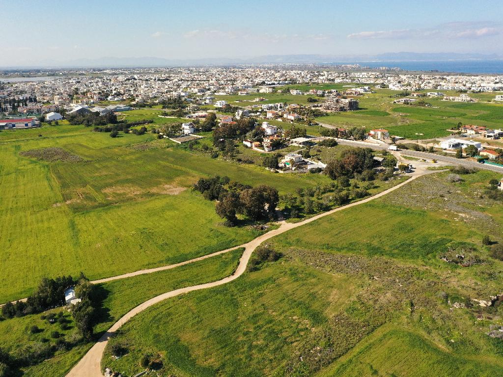 Field-Paralimni-PR32720