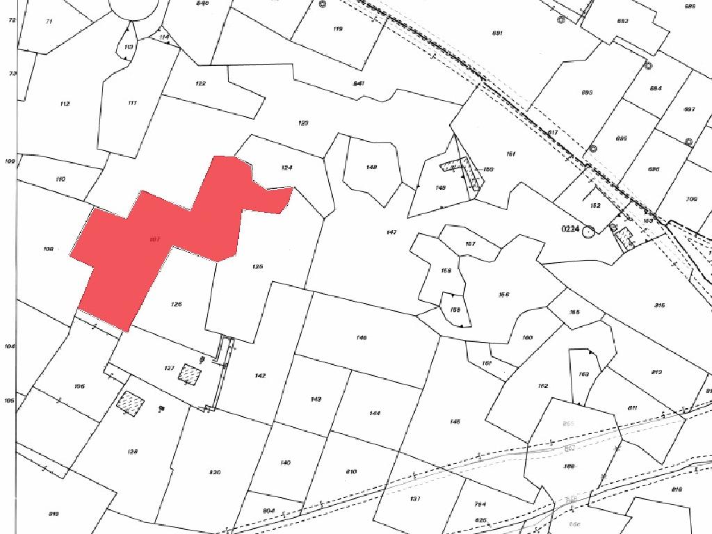 Field-Paralimni-PR32720