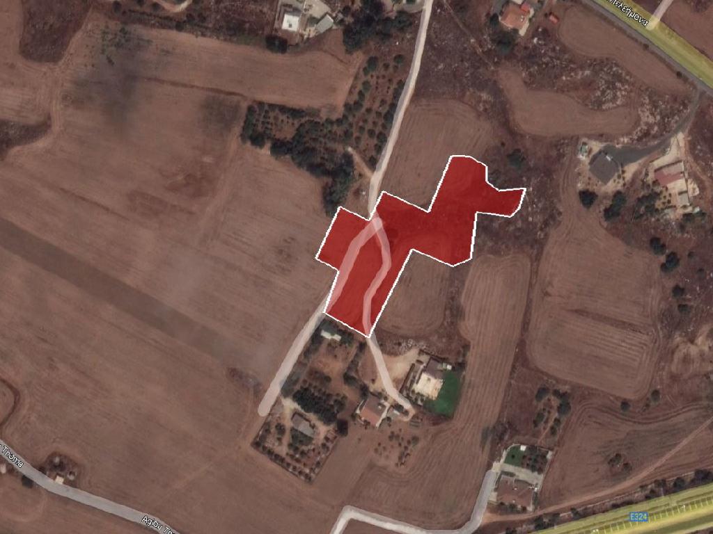 Field-Paralimni-PR32720