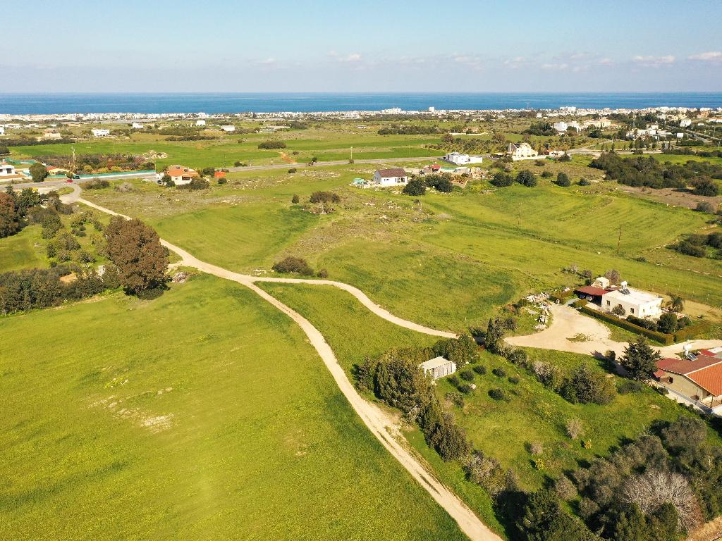 Field-Paralimni-PR32720
