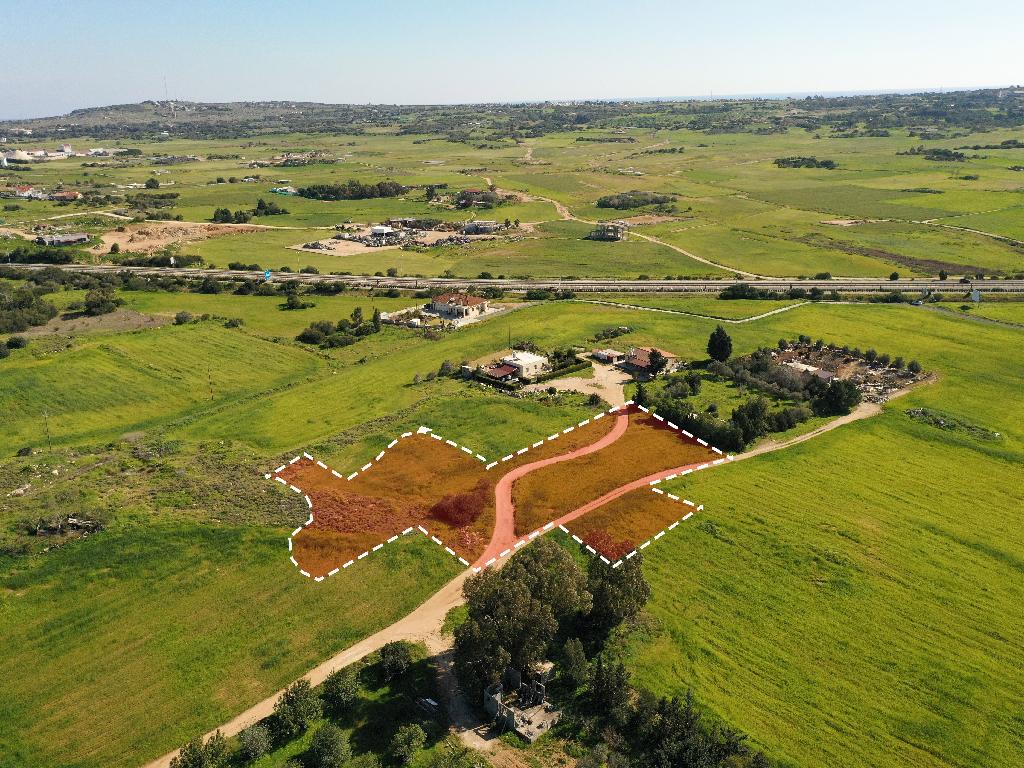 Field-Paralimni-PR32720