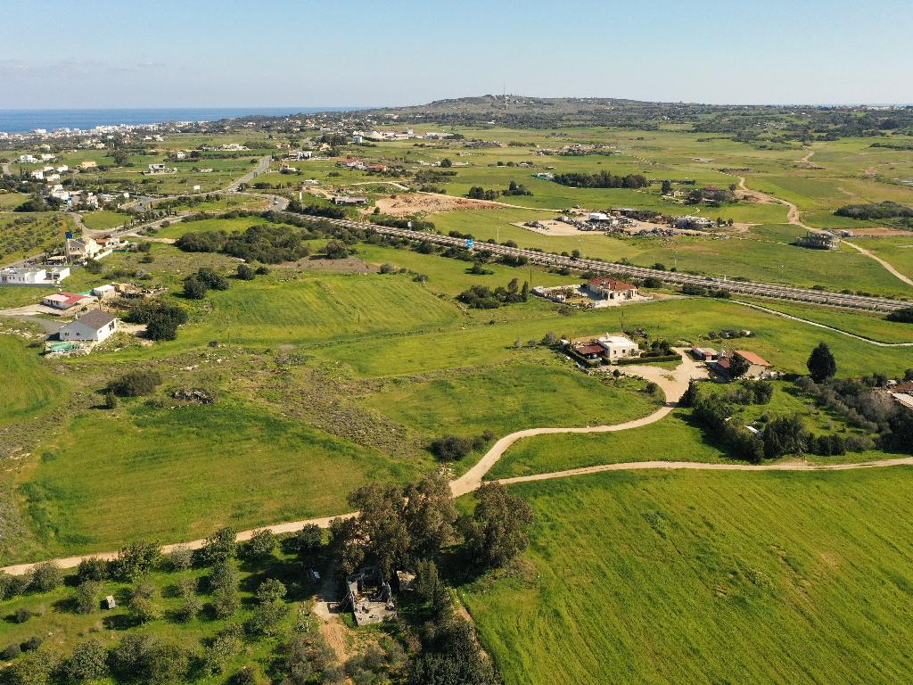 Field-Paralimni-PR32720
