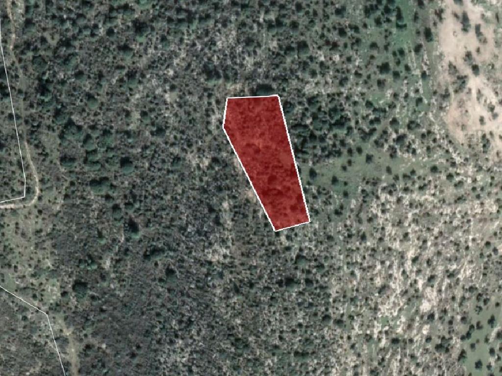 Field-Peristerona-PR33978
