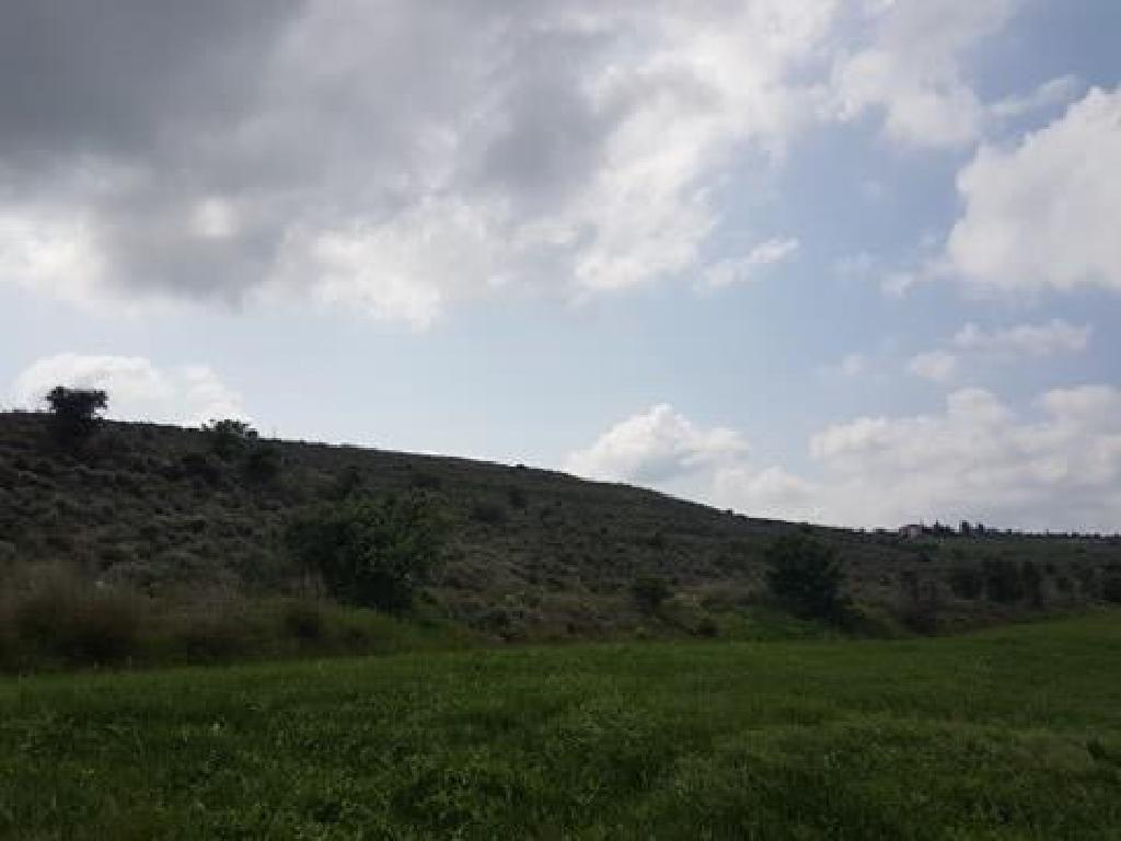 Field-Nisou-PR33812