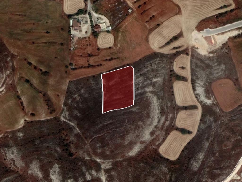 Field-Nisou-PR33812