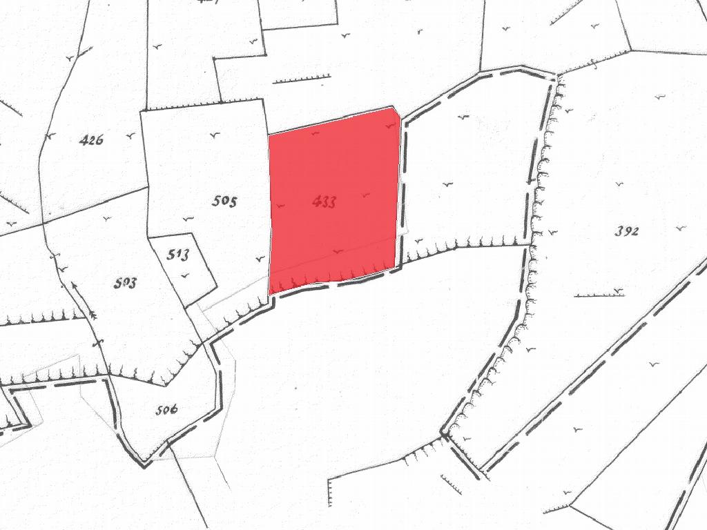 Field-Nisou-PR33812