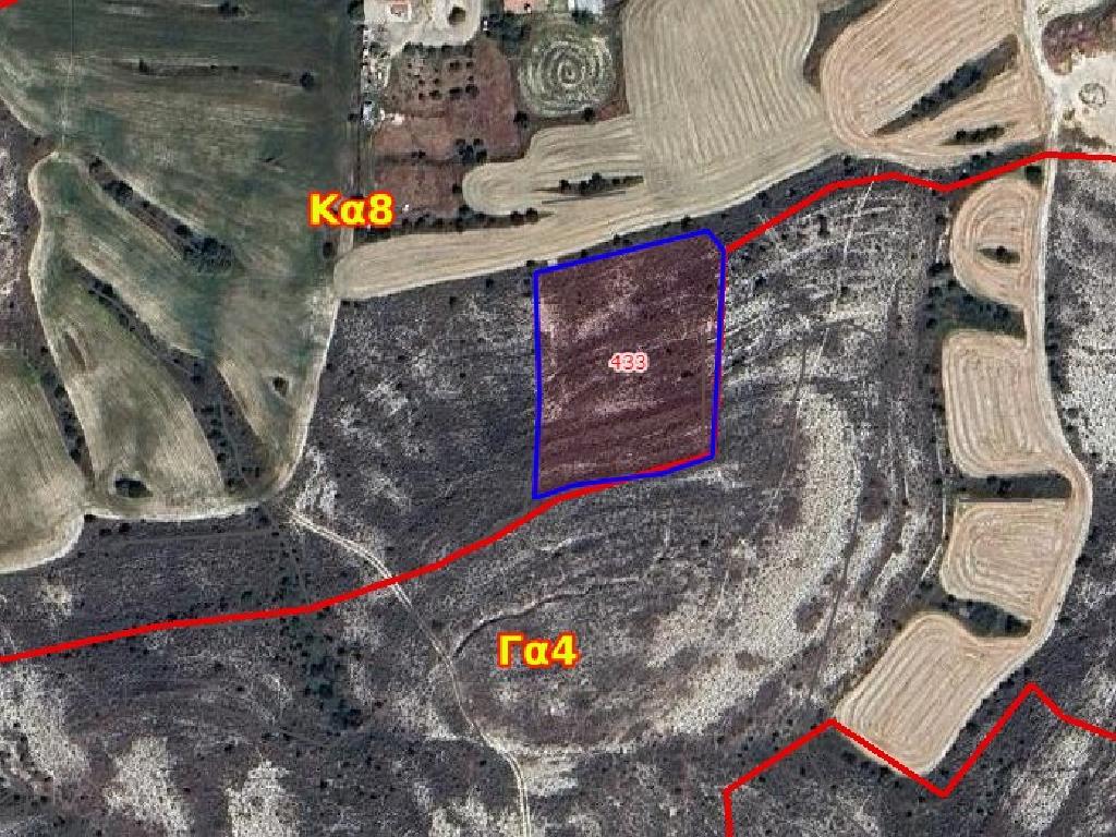 Field-Nisou-PR33812