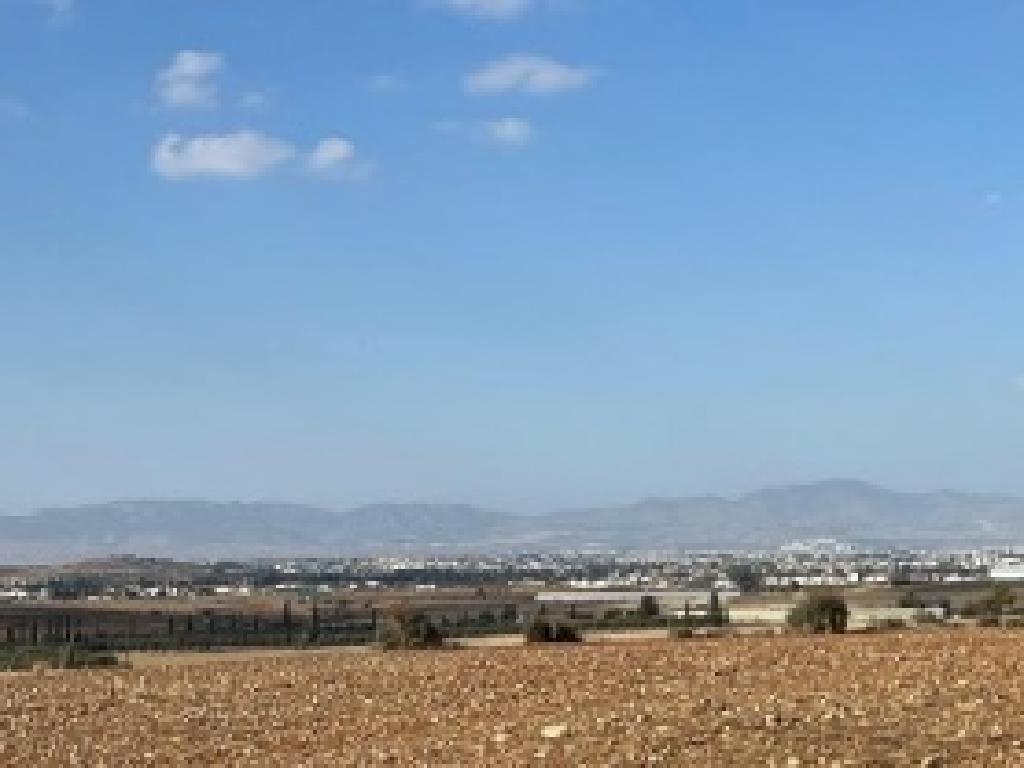 Field - Psimolofou, Nicosia
