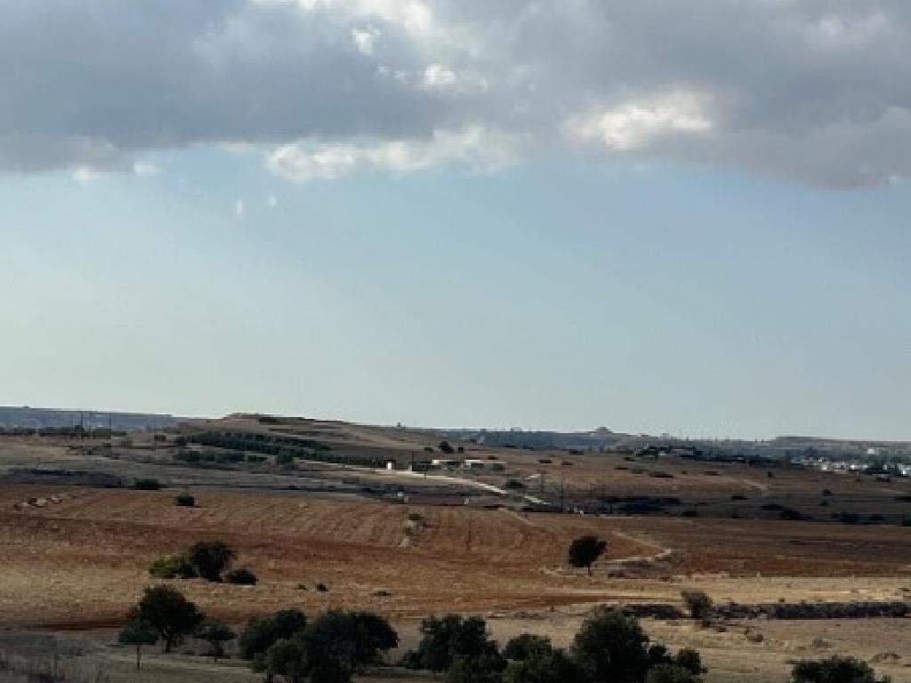Field-Psimolofou-PR36313