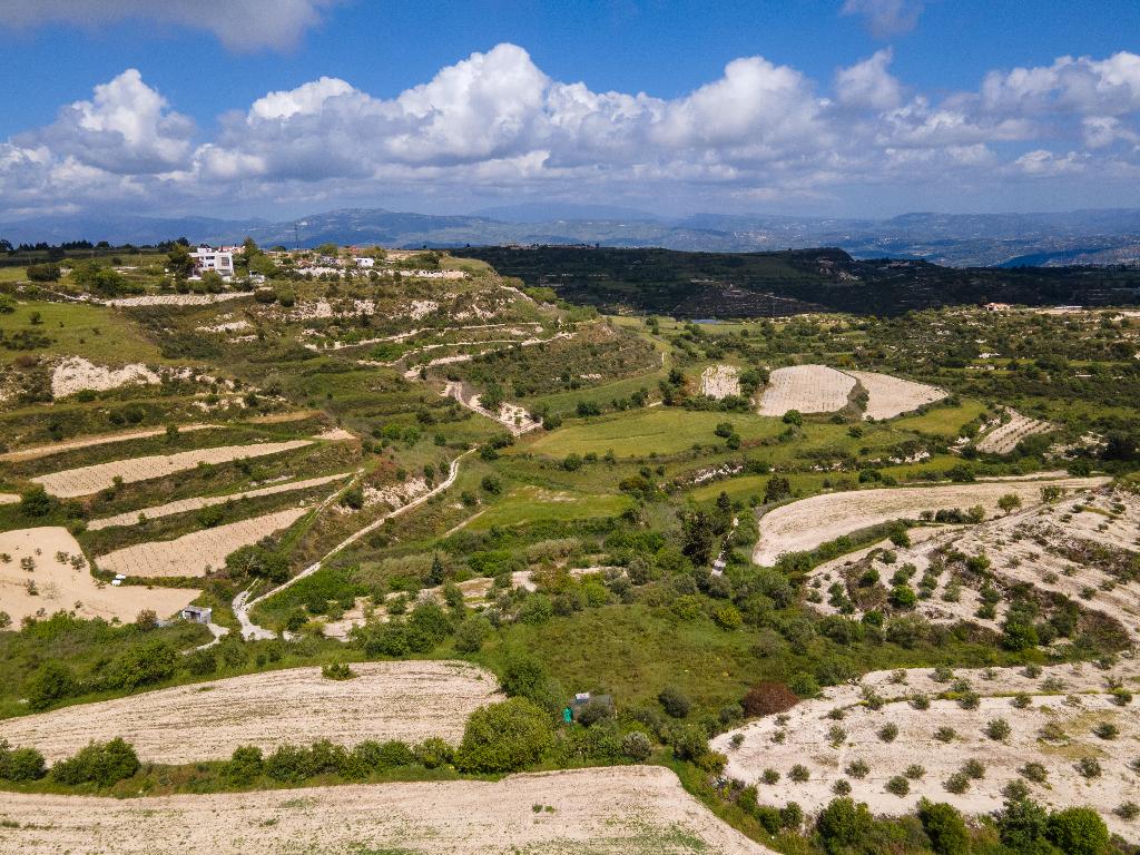 Field-Tsada-PR37924