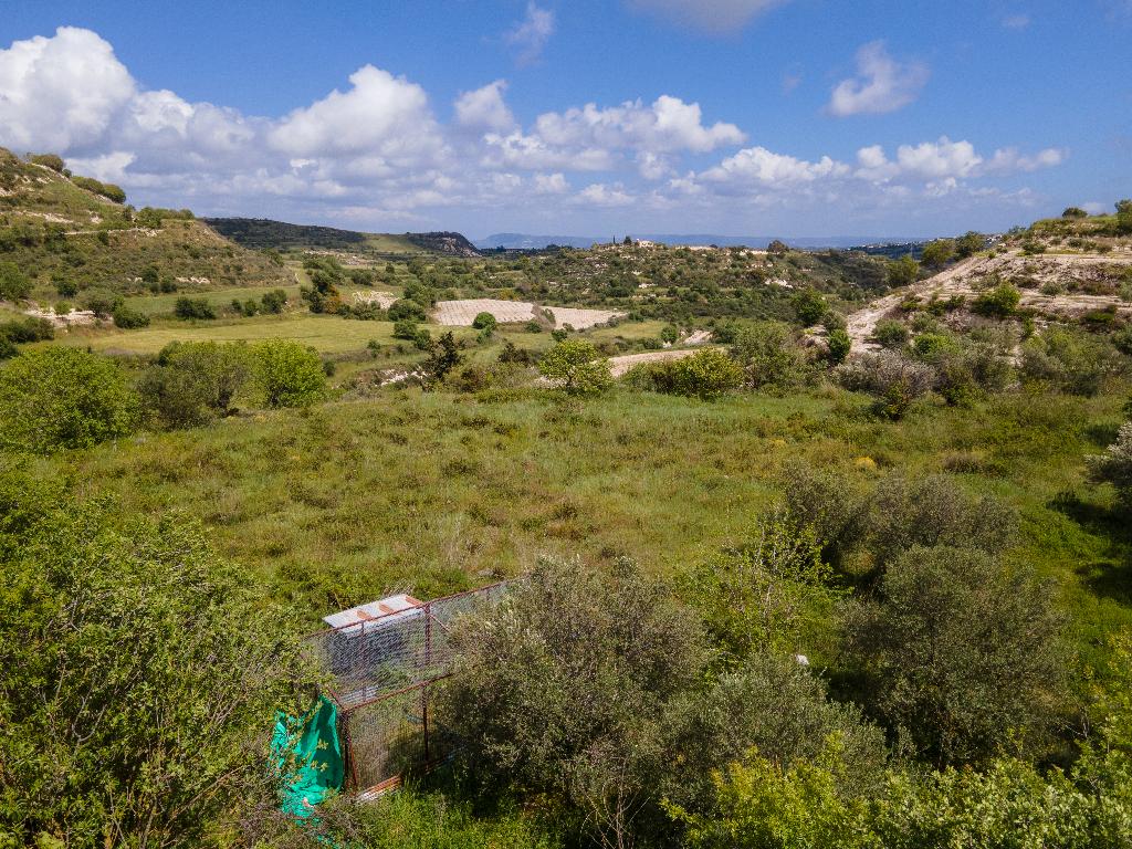 Field-Tsada-PR37924