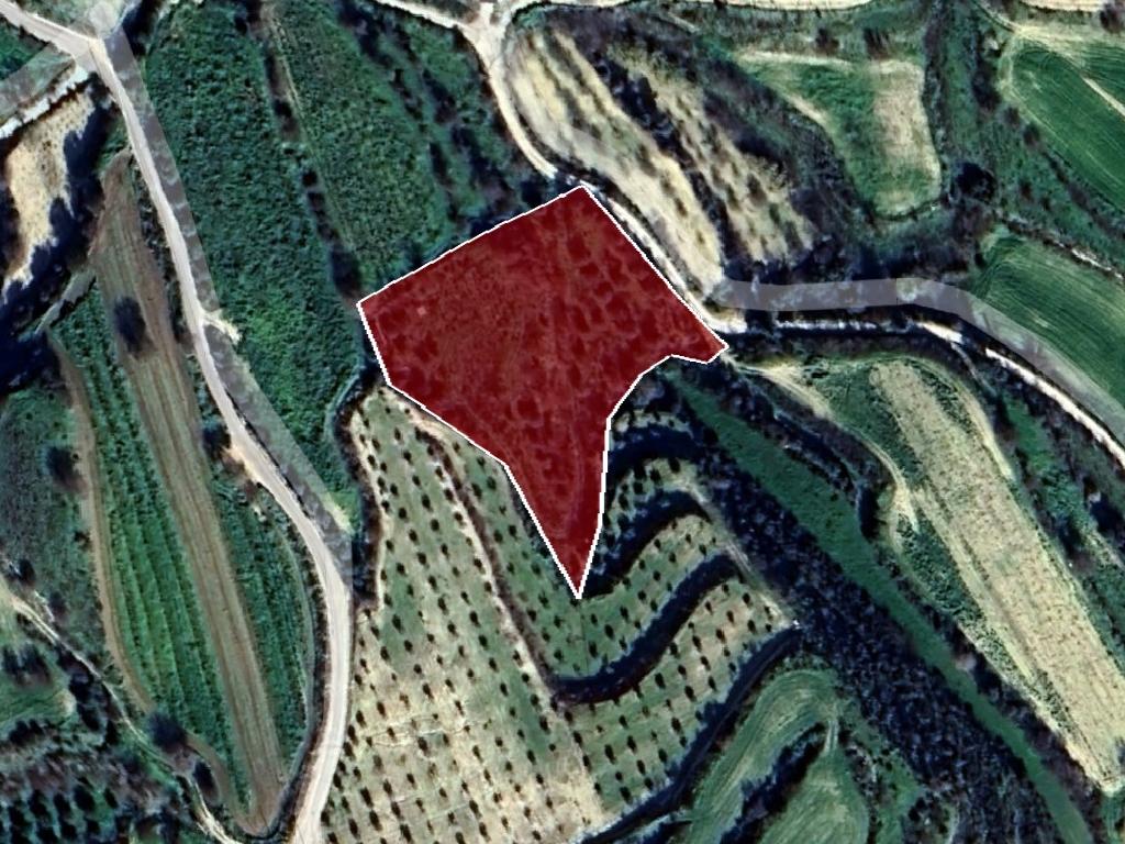 Field-Tsada-PR37924